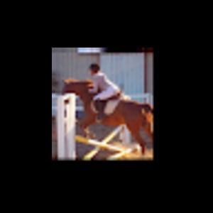 Meet your Posher, Shira